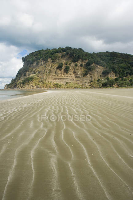 Beach of Wendeholm National Park — Stock Photo