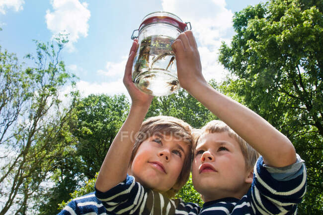 Двоє хлопчиків дивляться на пуголовки в банці — стокове фото