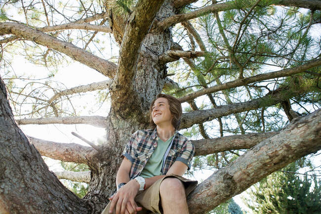 Teenage boy sitting in tree, portrait — Stock Photo