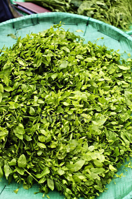 Buisson de feuilles sucrées au marché — Photo de stock