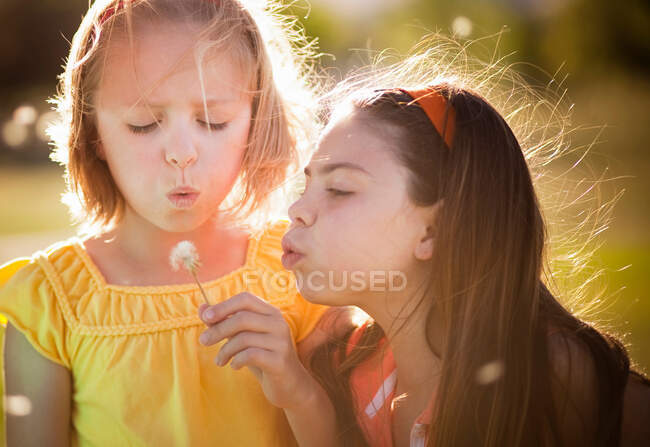 2 girls blowing on dandelion — Stock Photo