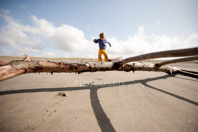 Garçon jouant sur la plage de sable avec du bois flotté — Photo de stock