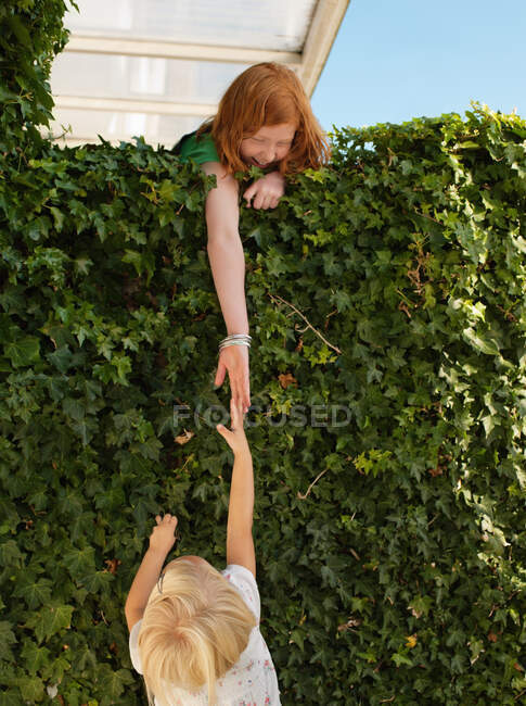 Girls reaching for each other over hedge — Stock Photo