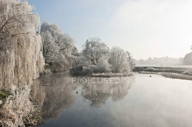 Frosty lake in winter — Stock Photo