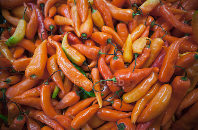 Pile of peppers on market — Stock Photo