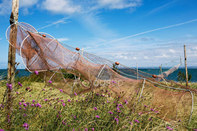 Риболовецькі сітки, поміщені в траву — стокове фото