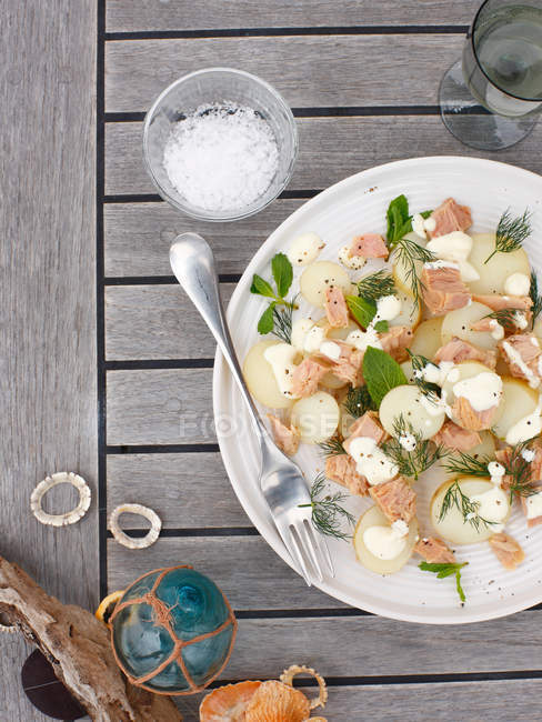 Lachs mit Kartoffeln und Sahne auf Teller — Stockfoto