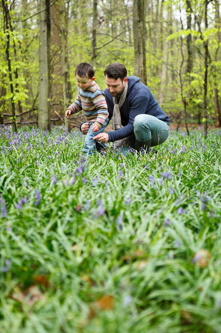 Pai e filho colhendo flores na floresta — Fotografia de Stock
