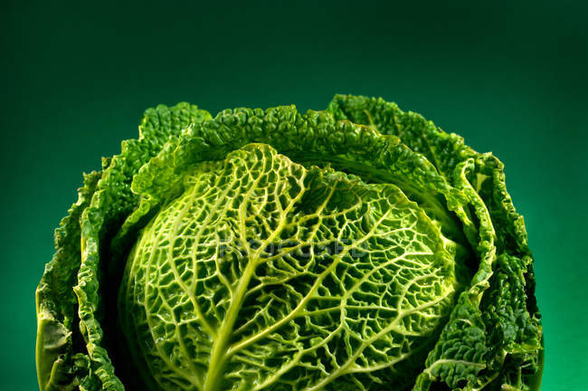 Savoy cabbage on green — Stock Photo