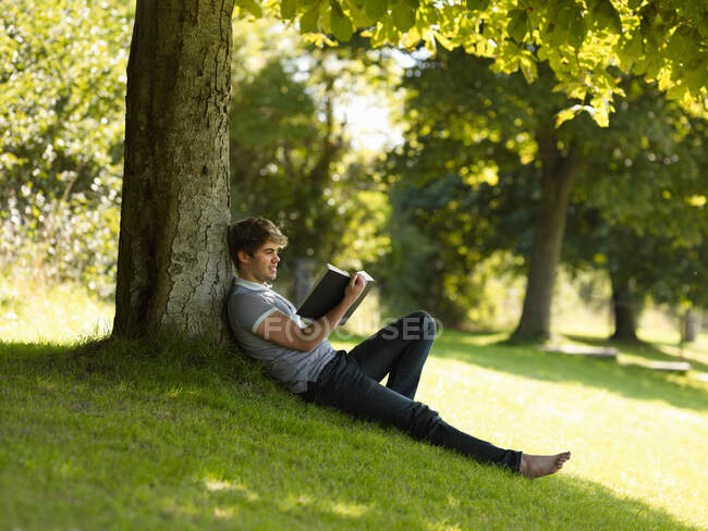 Мальчик читает под деревом — стоковое фото