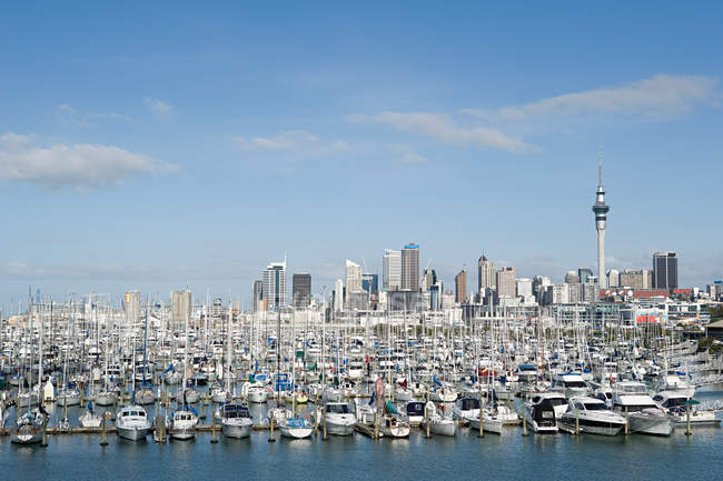 Barche ormeggiate e skyline di Auckland sullo sfondo — Foto stock