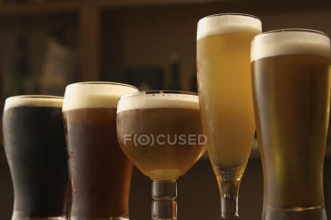 Selección de cervezas en vasos - foto de stock