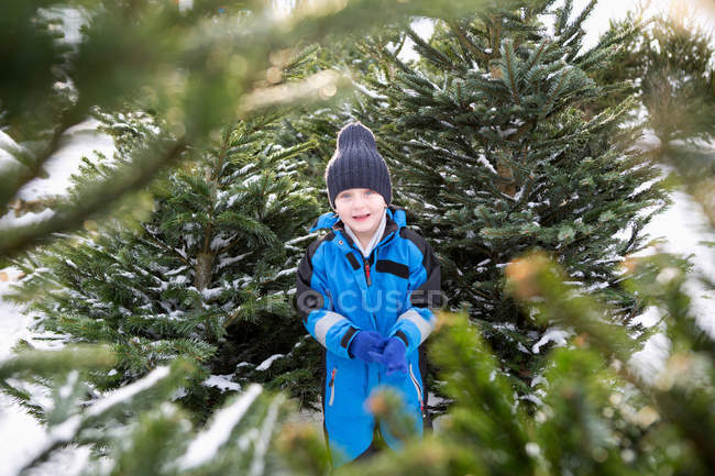 Niño de pie en el lote del árbol de Navidad - foto de stock