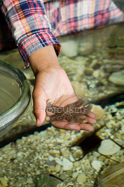 Girl holding starfish in aquarium — Stock Photo