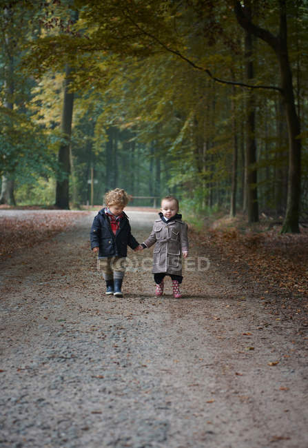 Niños caminando por el camino de tierra en el parque - foto de stock