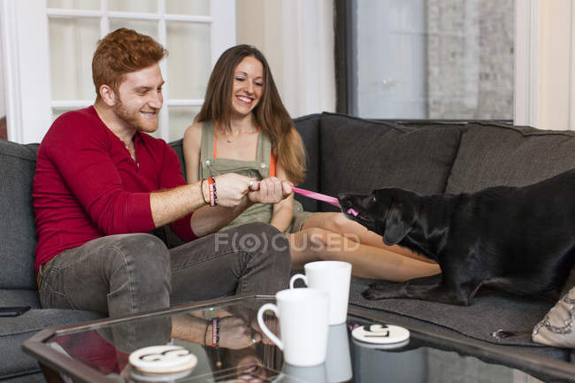Пара сидящих на диване, играющих с собакой, улыбающейся — стоковое фото