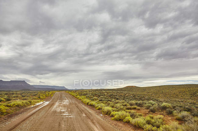 Estrada de terra no campo de Virgin, Utah, EUA — Fotografia de Stock