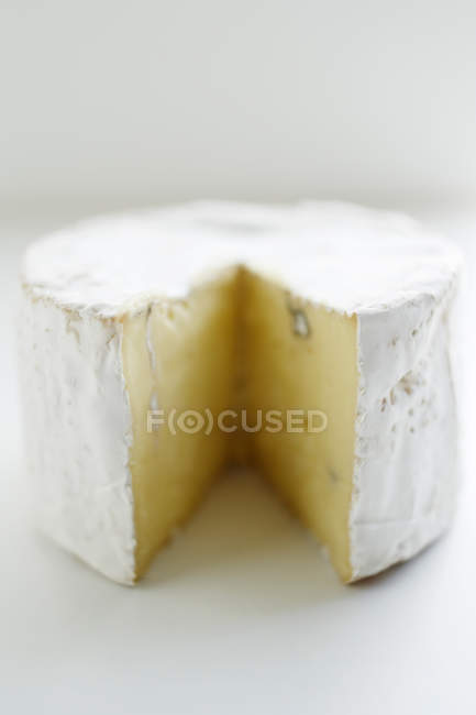 Close up of wheel of cheese — Stock Photo