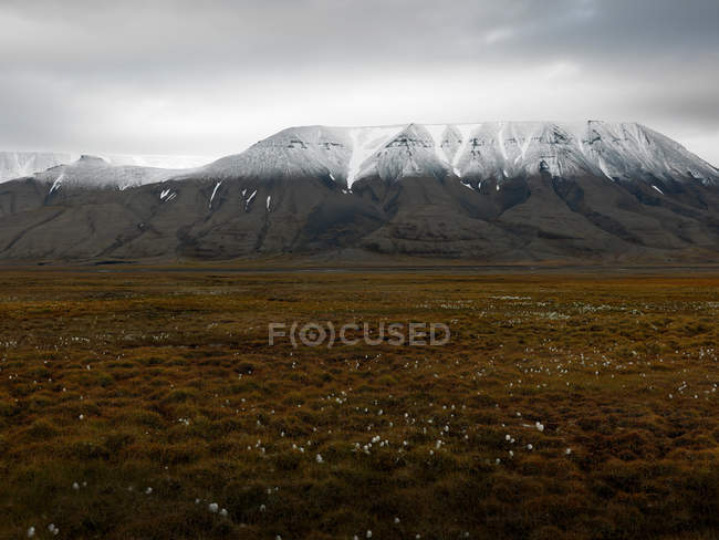Vista del paisaje de Svalbard - foto de stock