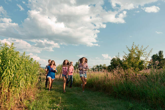 П'ять друзів біжать полем — стокове фото