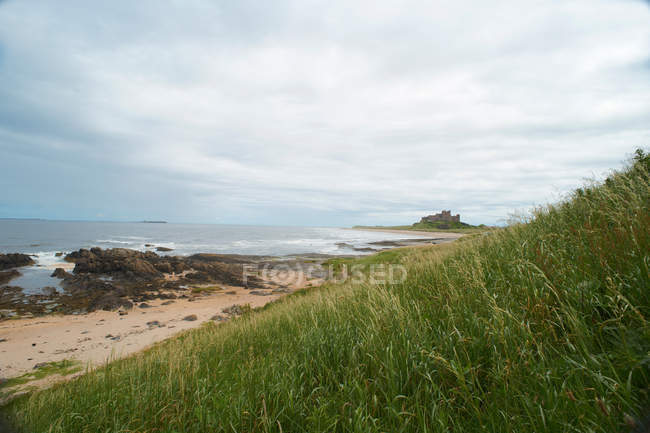 Ladera cubierta de hierba con vistas a la playa rocosa - foto de stock