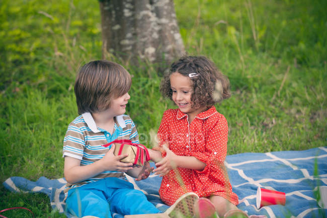 Girl giving gift at birthday picnic — Stock Photo