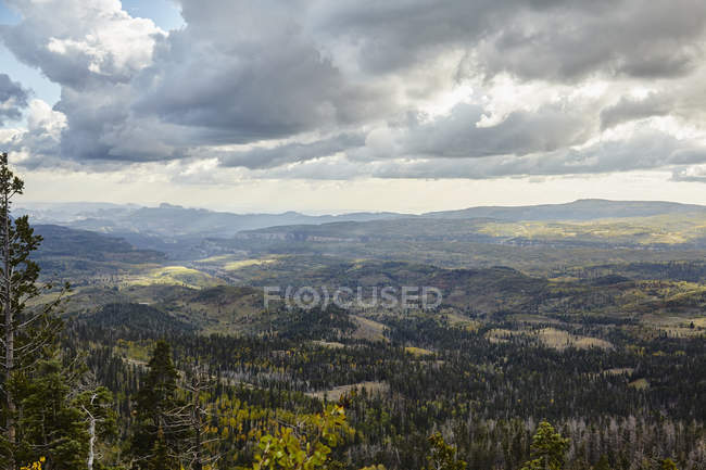 Vue aérienne d'un paysage magnifique avec des arbres verts et des collines à Sion, Utah, USA — Photo de stock