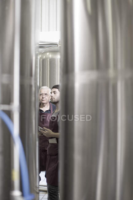 Cerveceros en cervecería junto a tanques de acero inoxidable - foto de stock