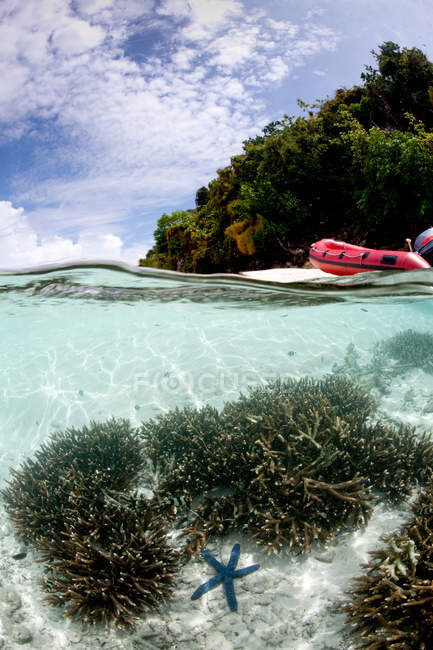 Unterwasserblick auf Korallen und rosa Boot, grüne Insel — Stockfoto