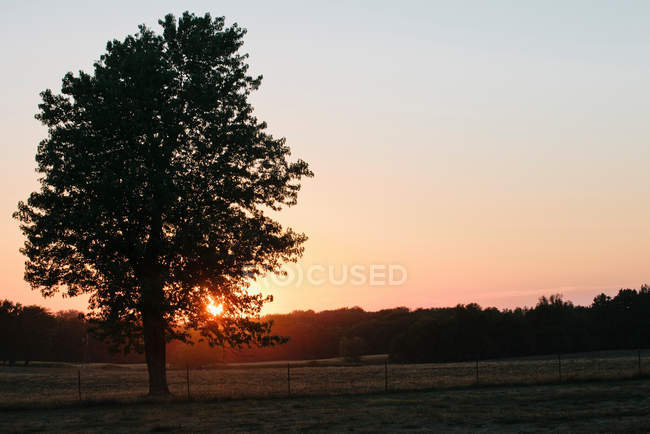 Sun setting over landscape — Stock Photo