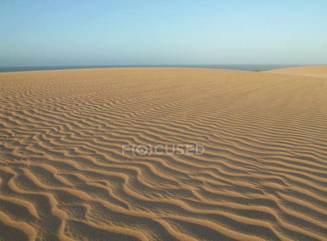 Ondas en dunas de arena - foto de stock