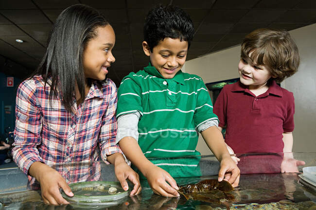 Три друга в акваріумі, хлопчик з водоростями. — стокове фото