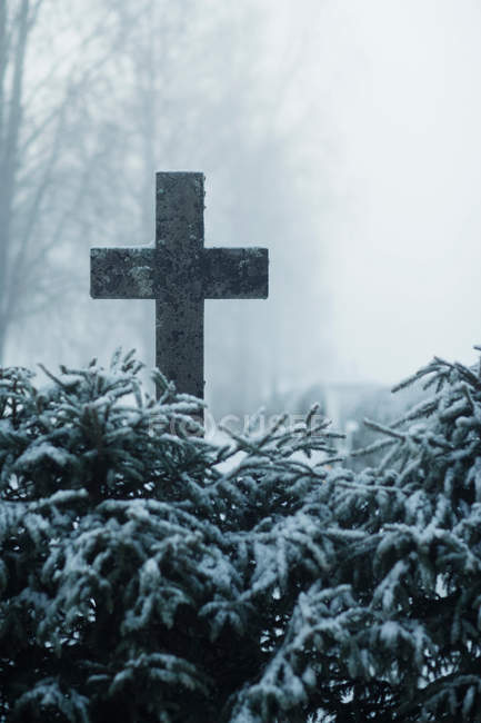 Крест на снежном поле — стоковое фото