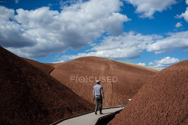 Vue arrière de l'homme marchant sur le sentier, Painted Hills, Oregon, États-Unis — Photo de stock