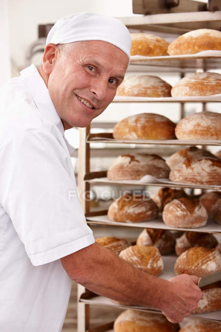 Koch stellt Blech mit Brot auf Regal — Stockfoto