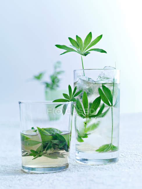 Herbs in glasses of water — Stock Photo
