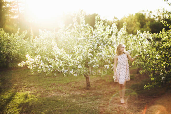 In voller Länge Vorderansicht einer jungen Frau in ärmellosem Kleid, die im Obstgarten steht und lächelnd wegschaut — Stockfoto