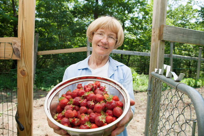 Femme tenant passoire aux fraises — Photo de stock