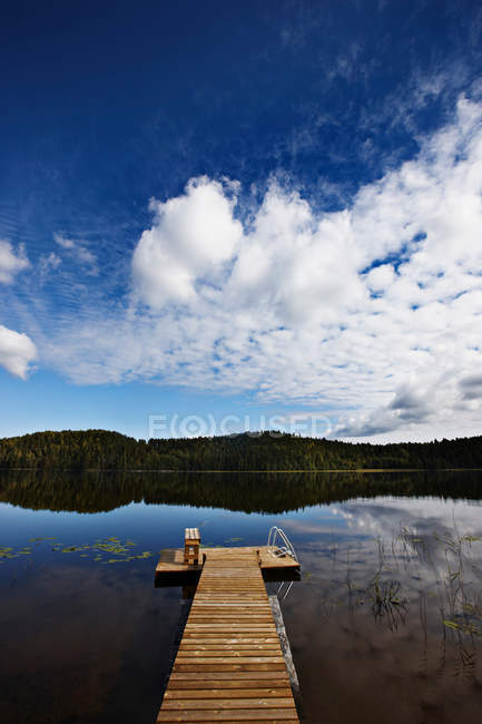 Árboles y cielo reflejados en el lago - foto de stock