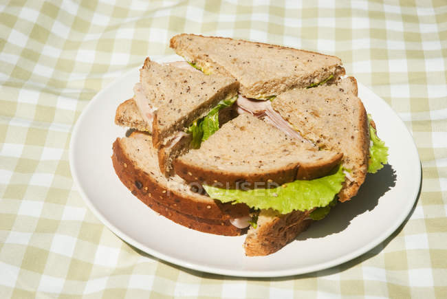Plate of sandwiches on checkered picnic blanket — Stock Photo