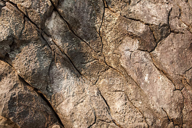 Cracked brown rock — Stock Photo