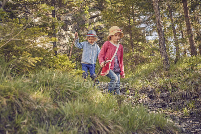 Dos niños pequeños explorando el bosque - foto de stock