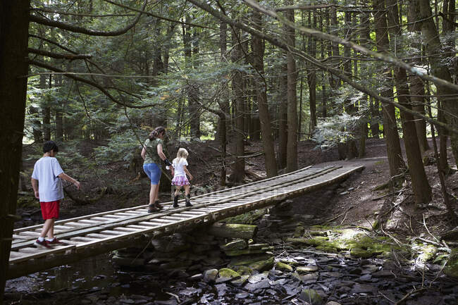 Kinder gehen im Wald spazieren — Stockfoto