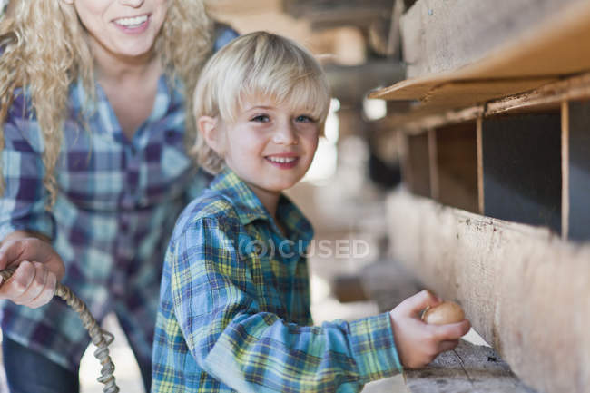 Niño recogiendo huevos de gallinas - foto de stock