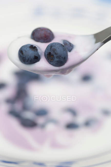 Close up shot of blueberries and yogurt in spoon — Stock Photo