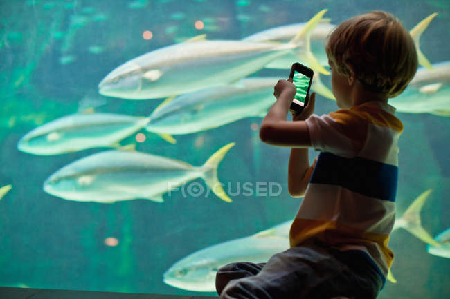 Мальчик фотографирует рыбу в аквариуме — стоковое фото