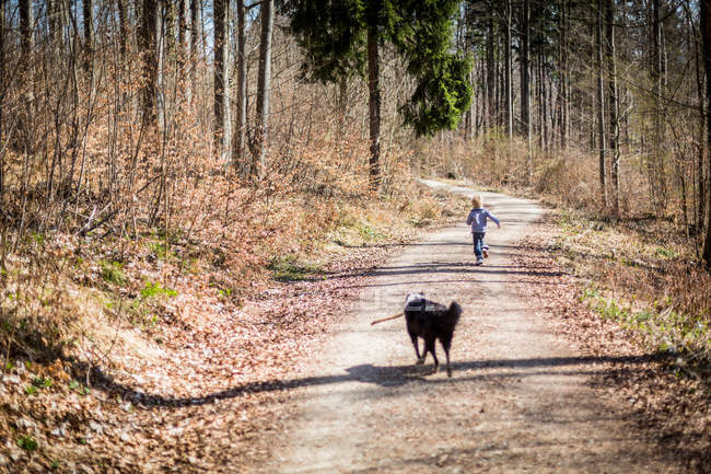 Хлопчик і собака на ґрунтовій доріжці в лісі — стокове фото