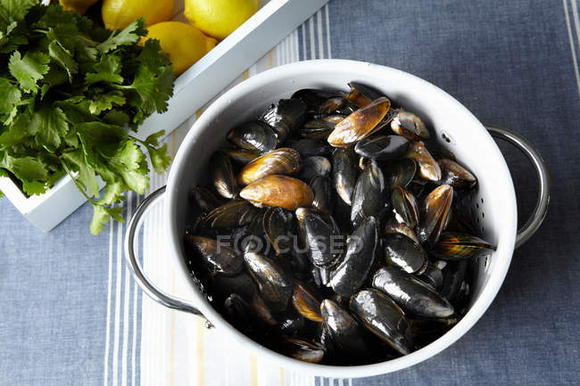 Strainer full of mussels on table with lemons and herbs — Stock Photo