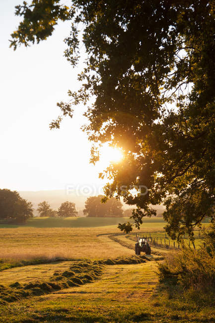 Tractor driving on dirt path — Stock Photo