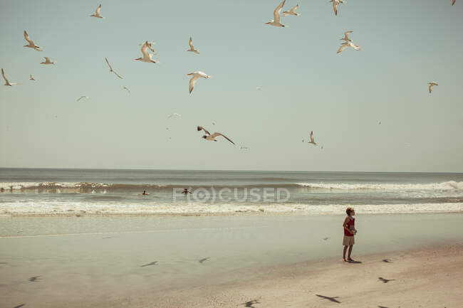 Niños de pie en la playa con gaviotas - foto de stock
